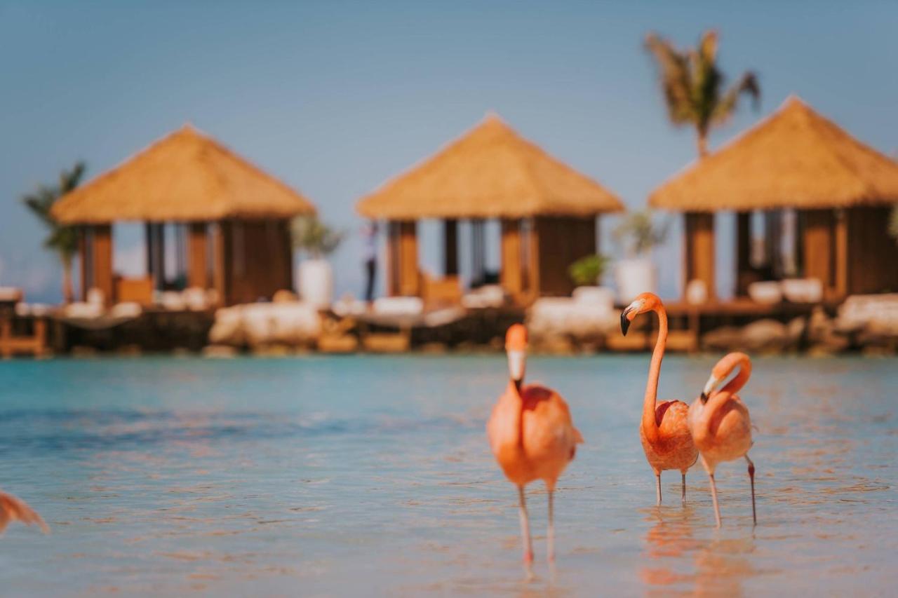 Renaissance Wind Creek Aruba Resort Oranjestad Exteriér fotografie